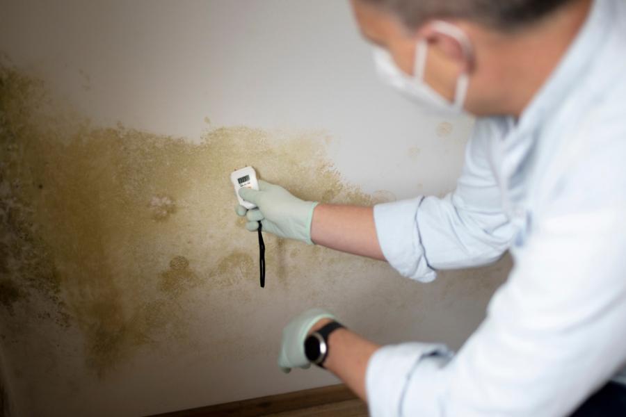 Pre Purchase Property Damp Report
