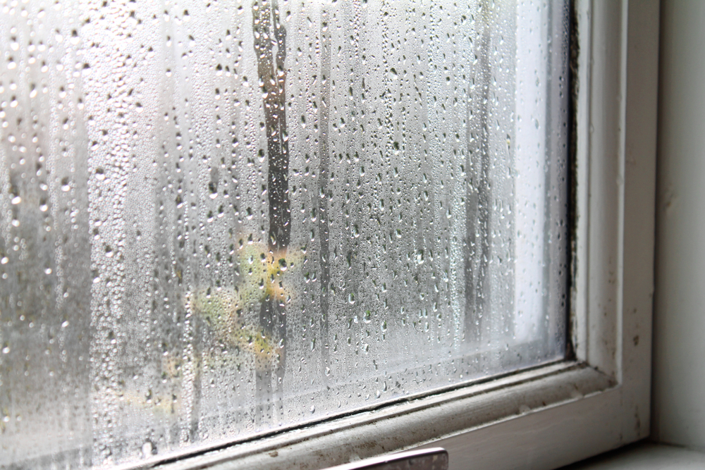 Why Condensation Happens